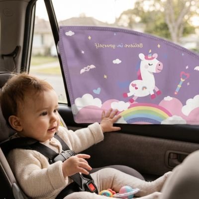 pare soleil pour voiture côté gauche